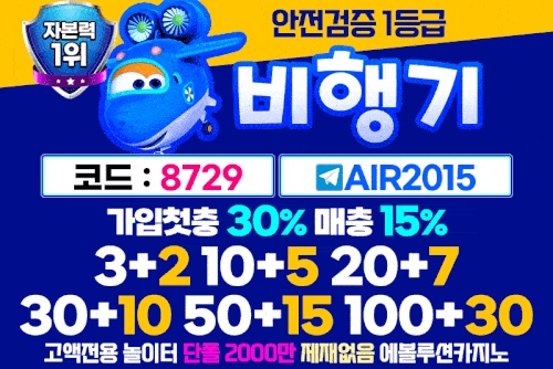 먹튀검증_비행기